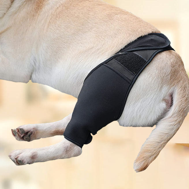 Pet Thigh Protective Sleeve Surgical Recovery Protection Joint Leggings
